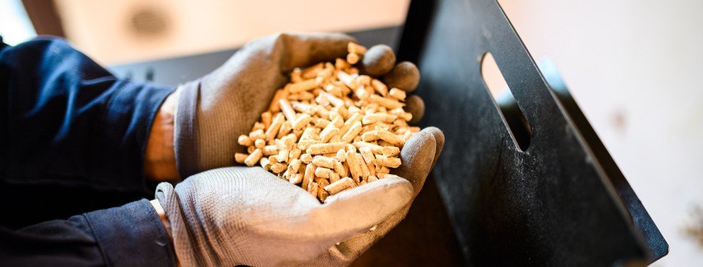 Puesta a Punto Pretemporada Puesta a Punto Pretemporada